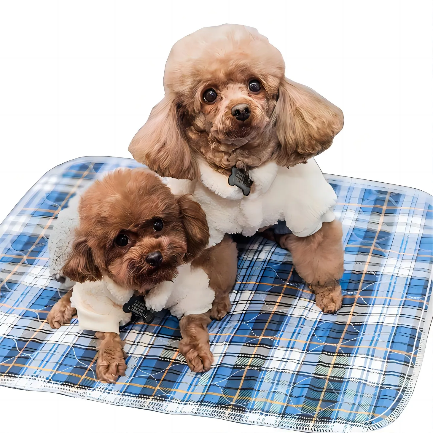 Washable Pee Pads For Cats Washable Pee Pads For Cats